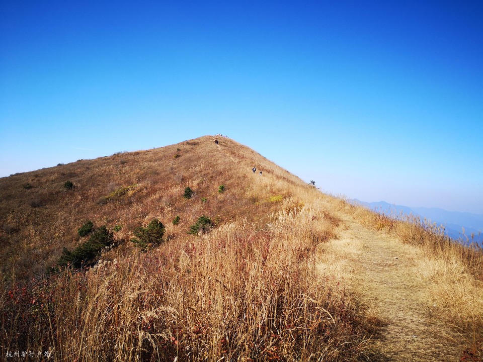 mmexport1572863376268