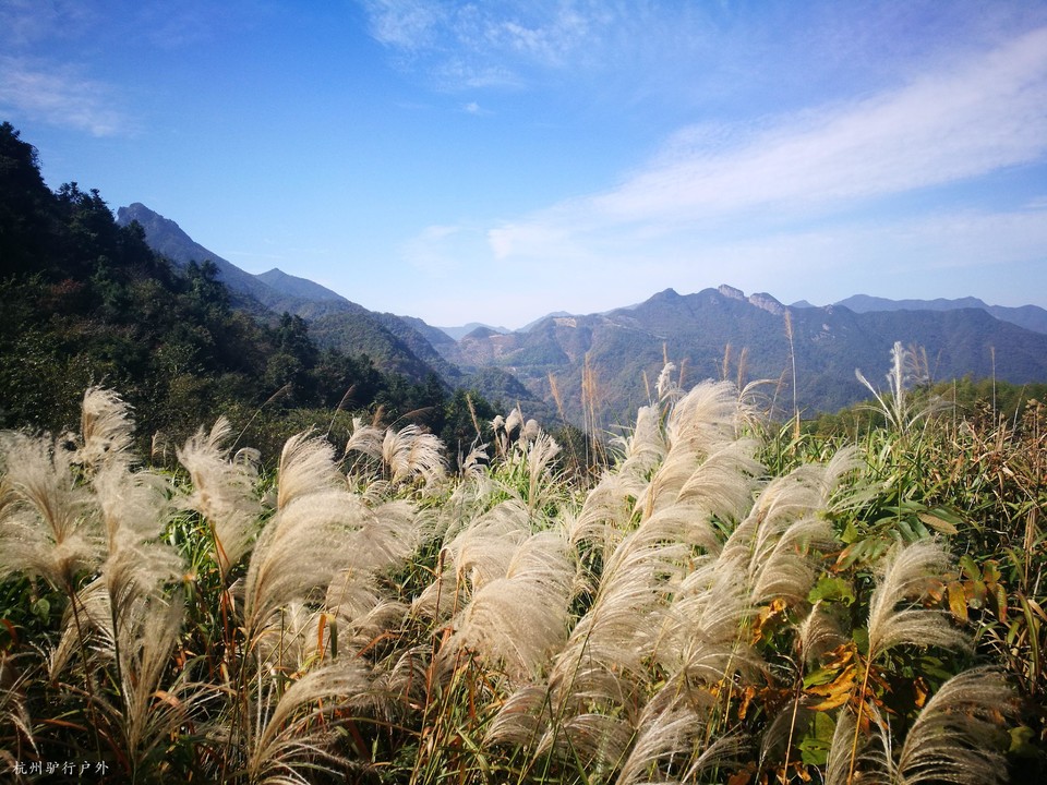 mmexport1572869381455