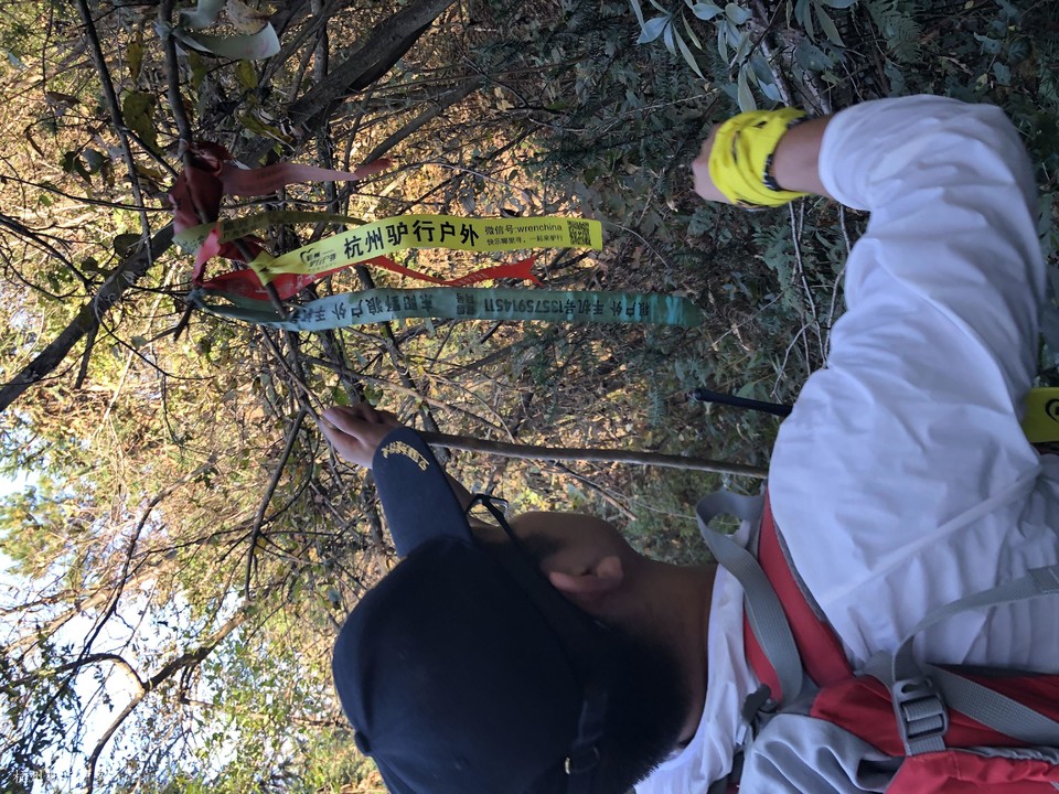 mmexport1572869392083