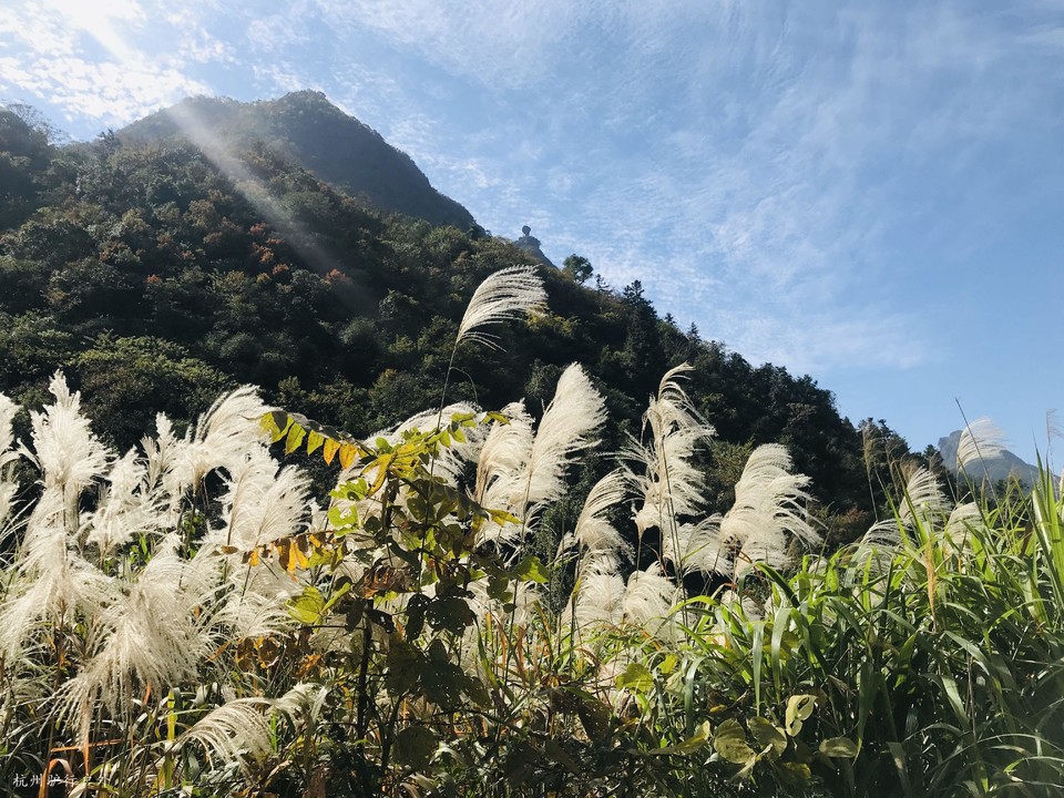 mmexport1572869576196