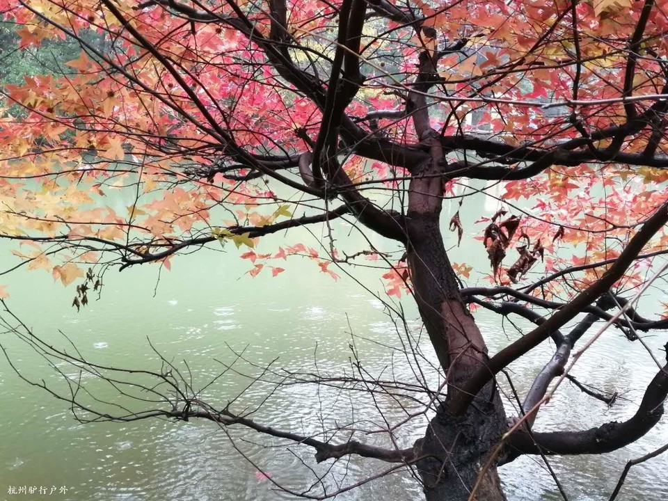 mmexport1575167351950