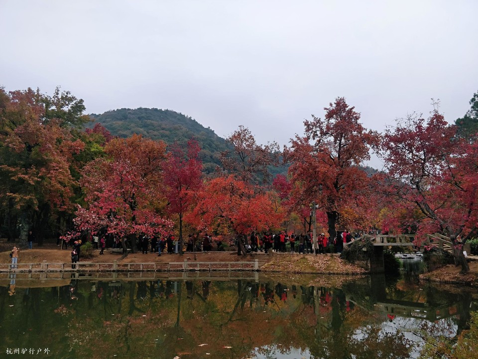 mmexport1575167411261