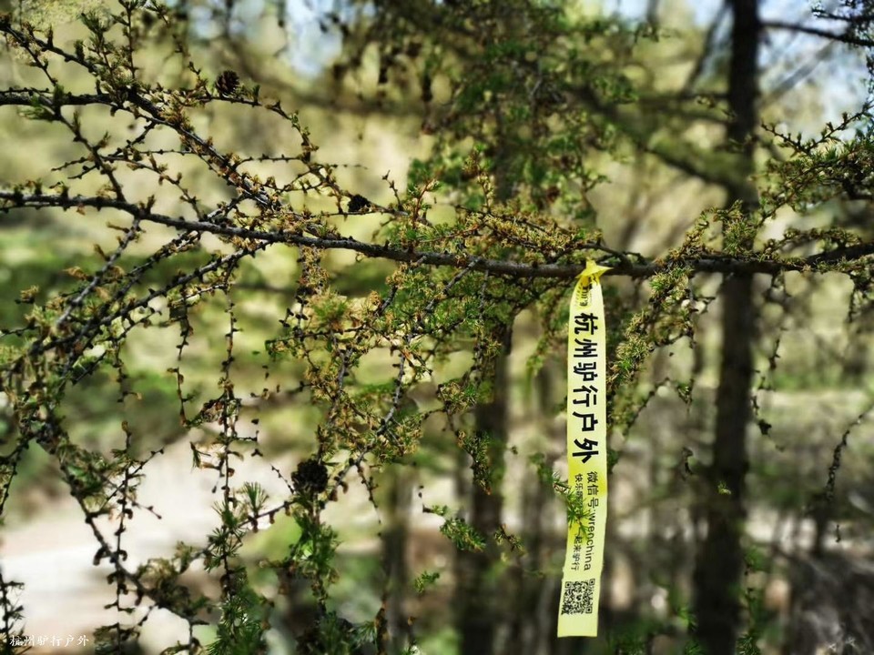 微信图片_20200610213811