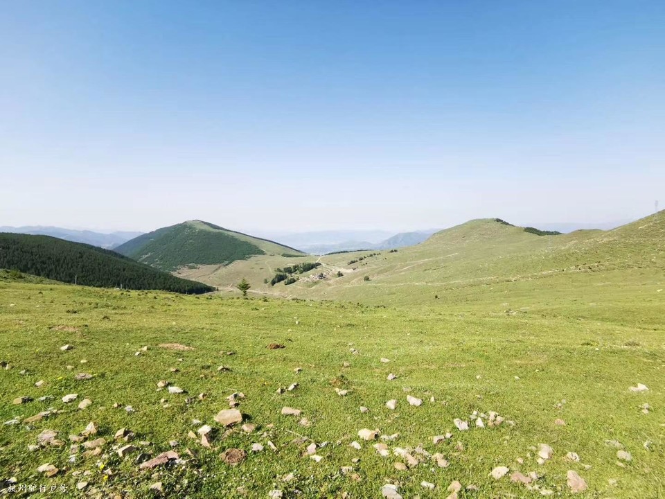 微信图片_202006102138112