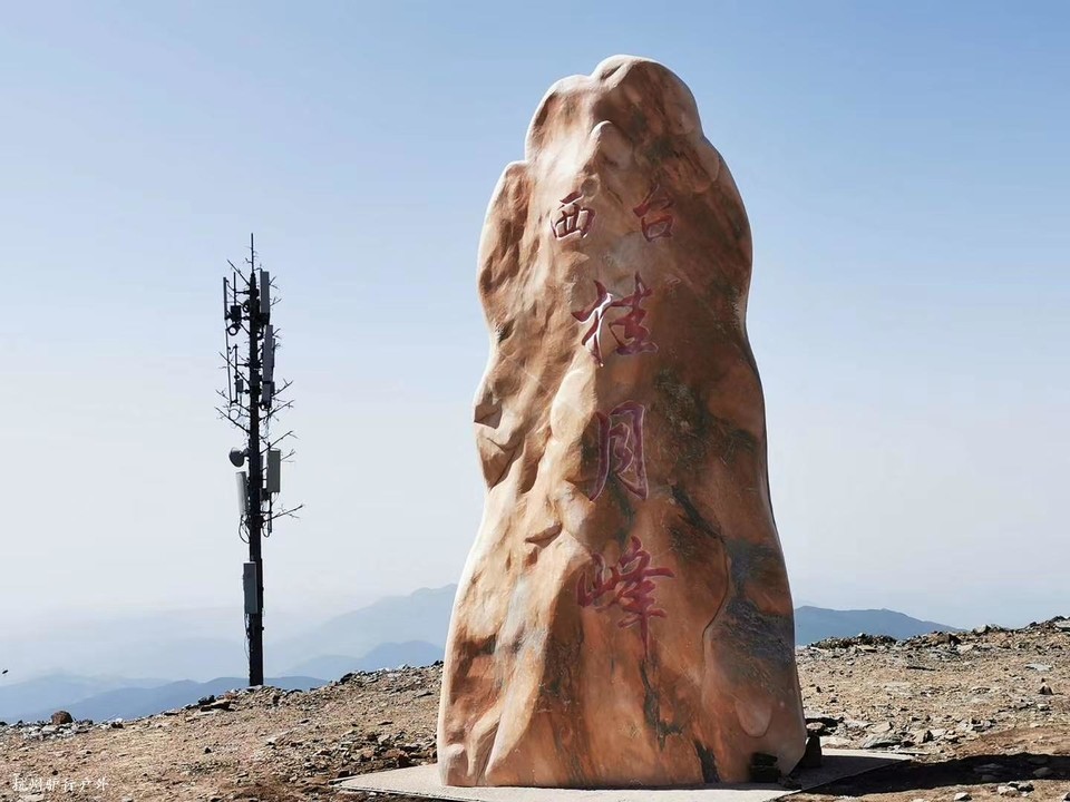 微信图片_202006102138116