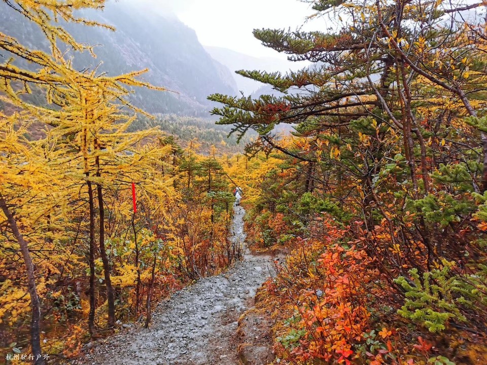 微信图片_20200331203642