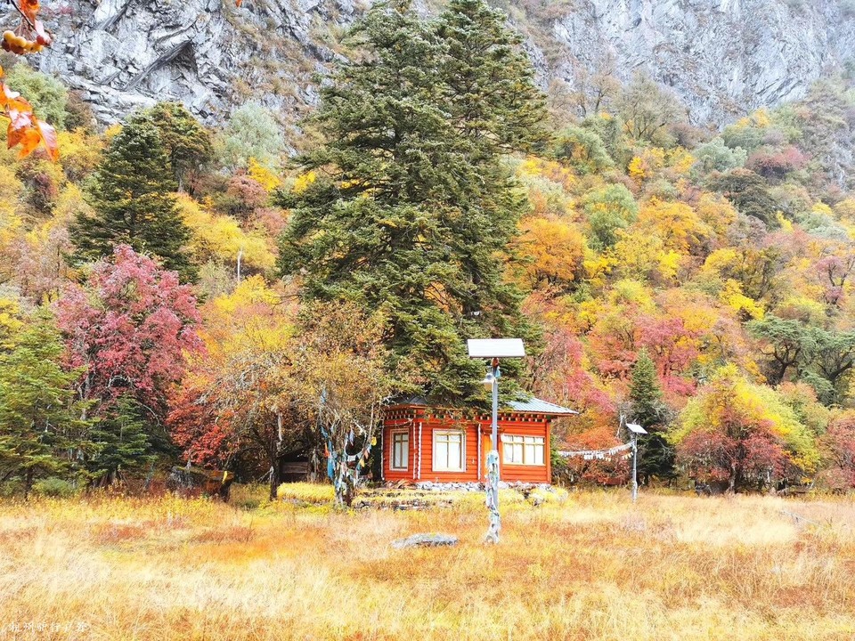 微信图片_202003312036421