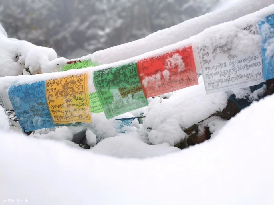 微信图片_202003312036425