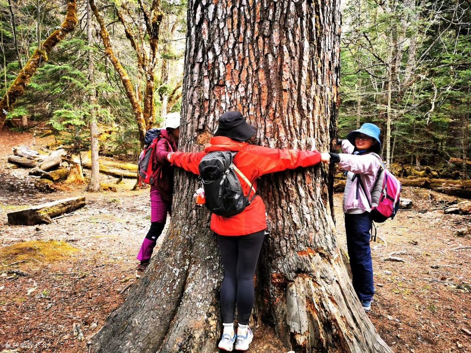 微信图片_202006102147588