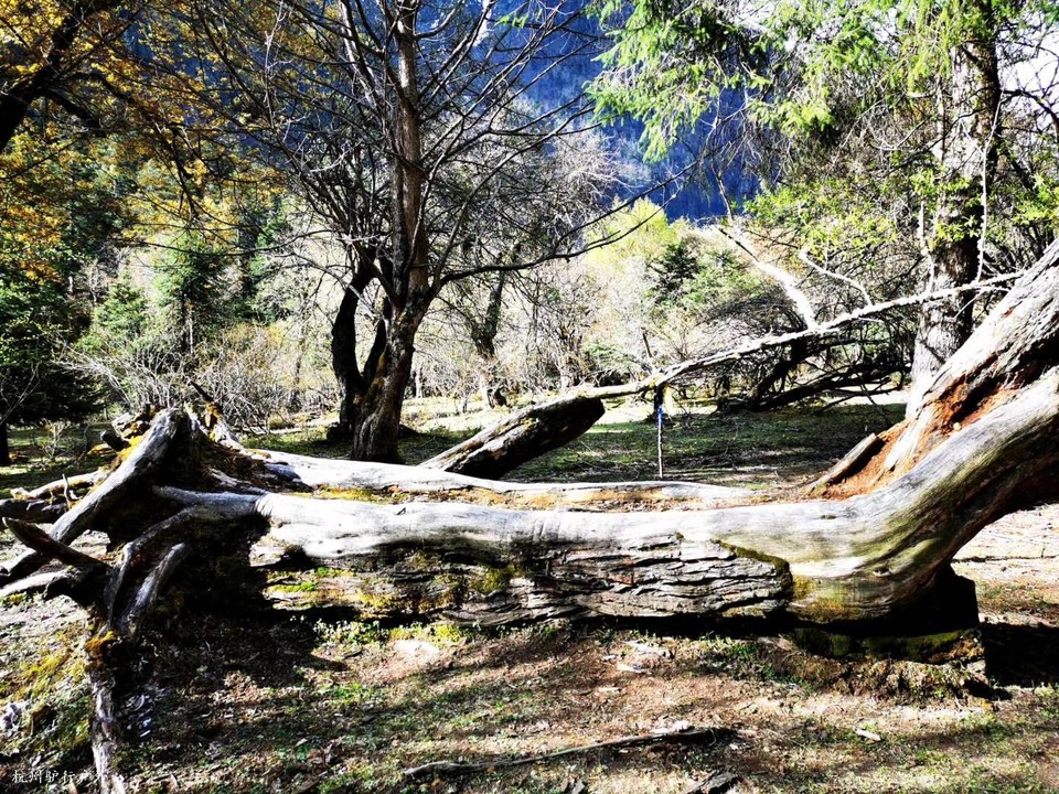 微信图片_202006102147589