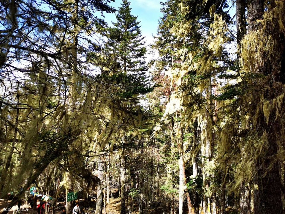 微信图片_2020061021475810