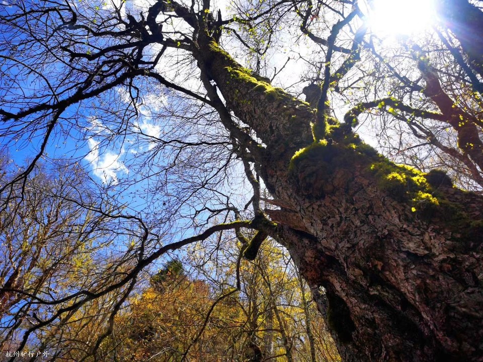 微信图片_2020061021475811