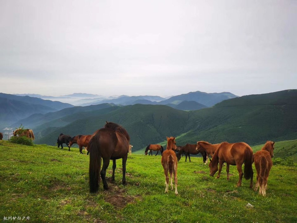 微信图片_202010271354151