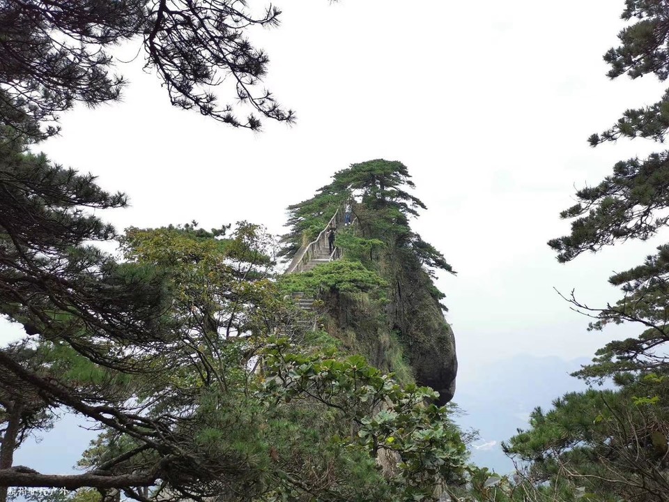 微信图片_202010271612144