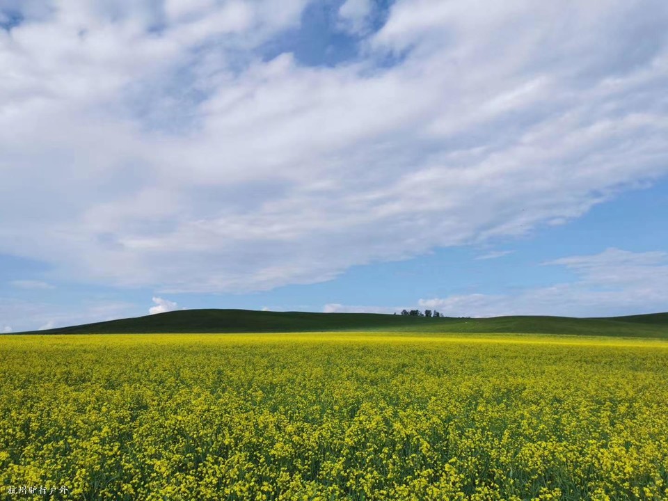 微信图片_202010271618254