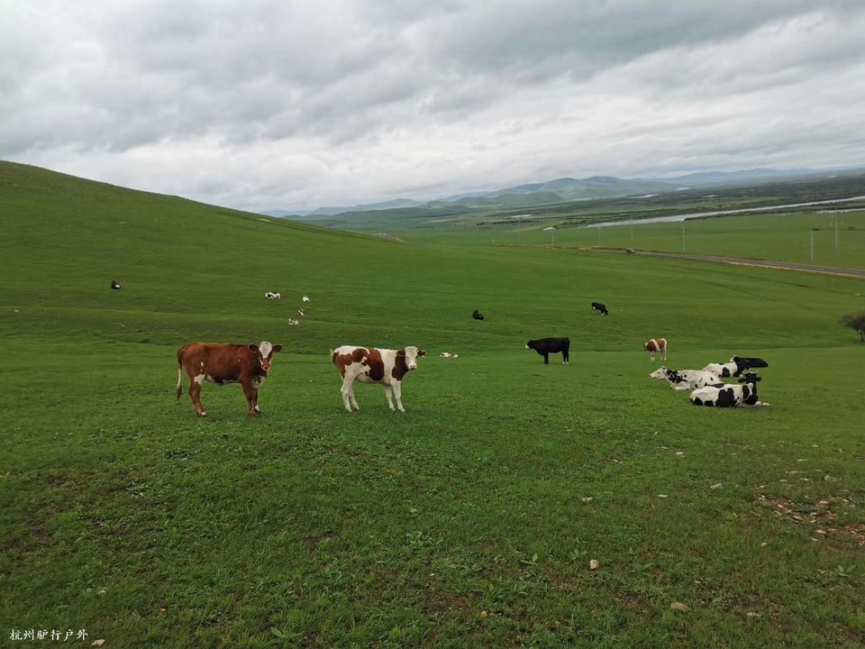 微信图片_202010271618255