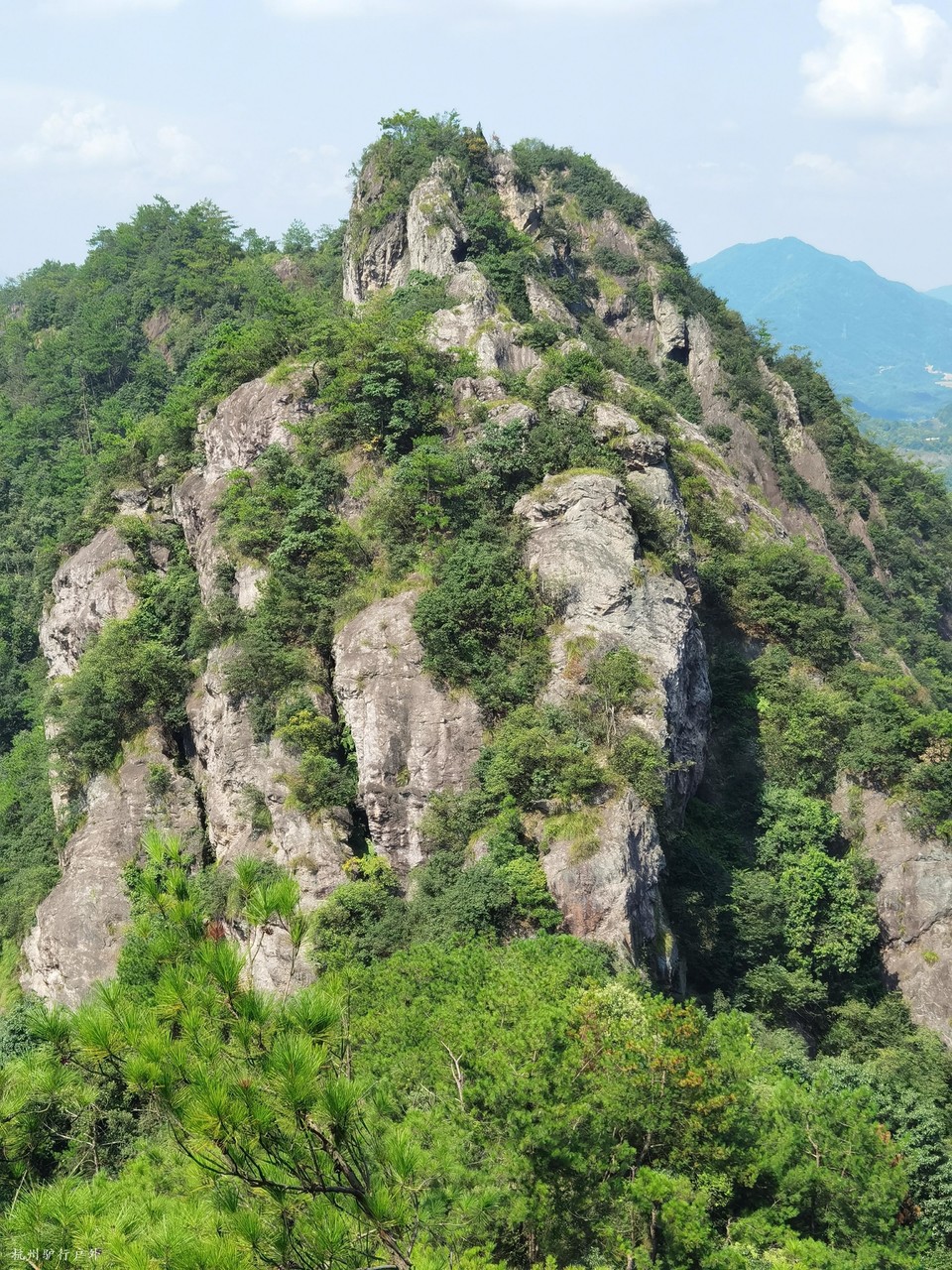 微信图片_202110231537094