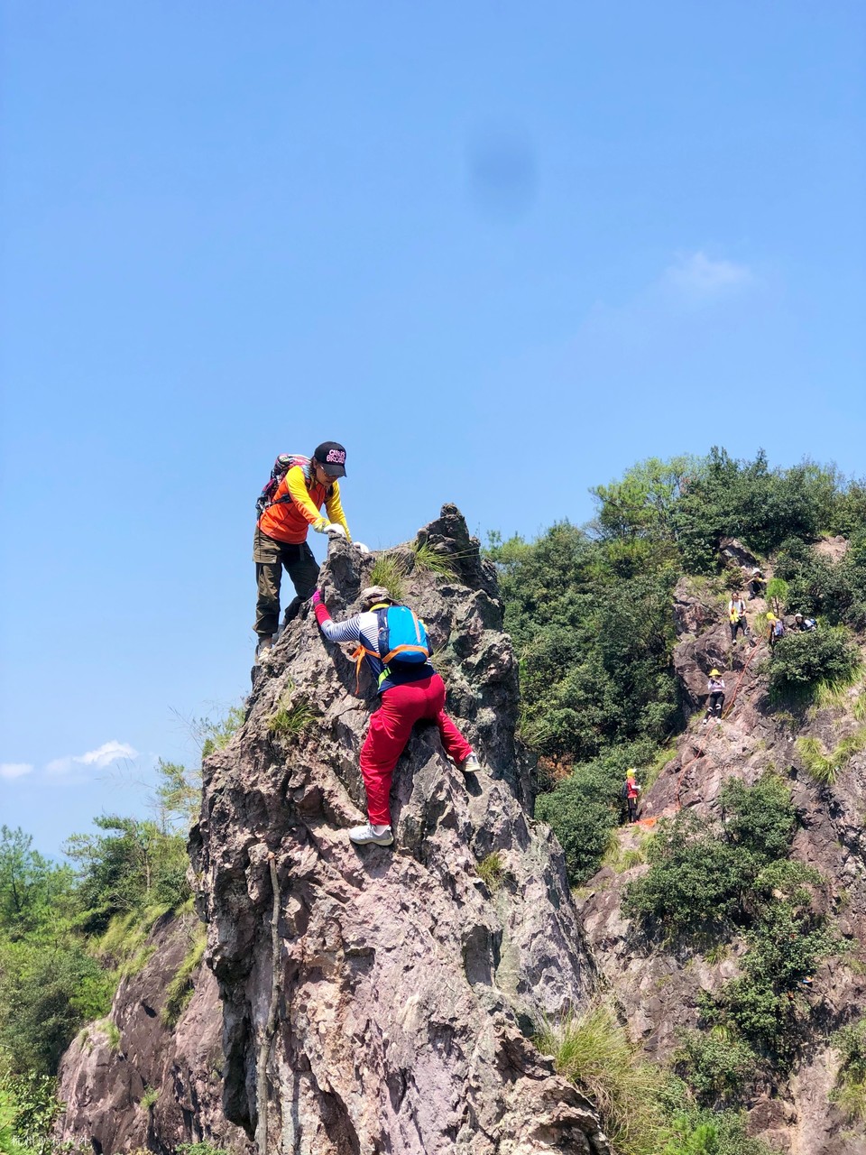 微信图片_202110231537098