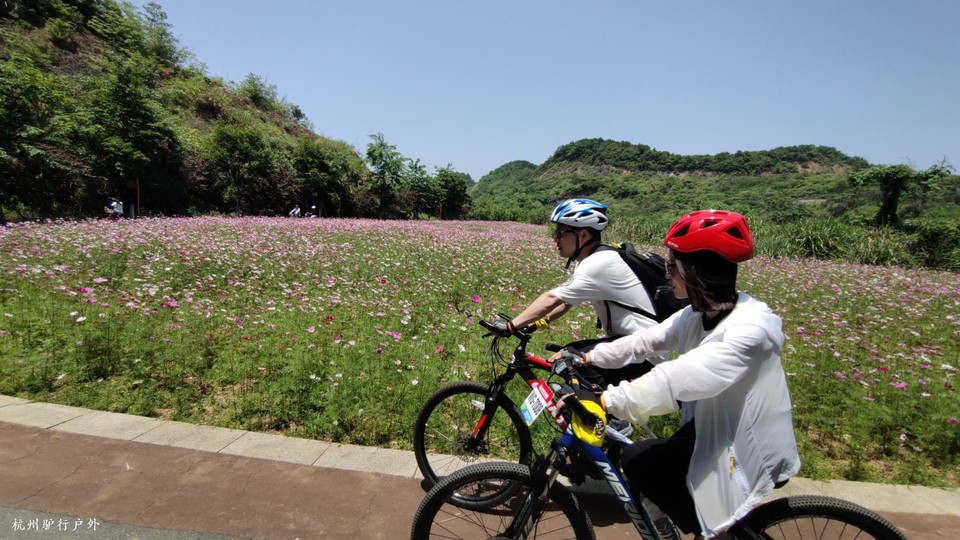 微信图片_202110231558121