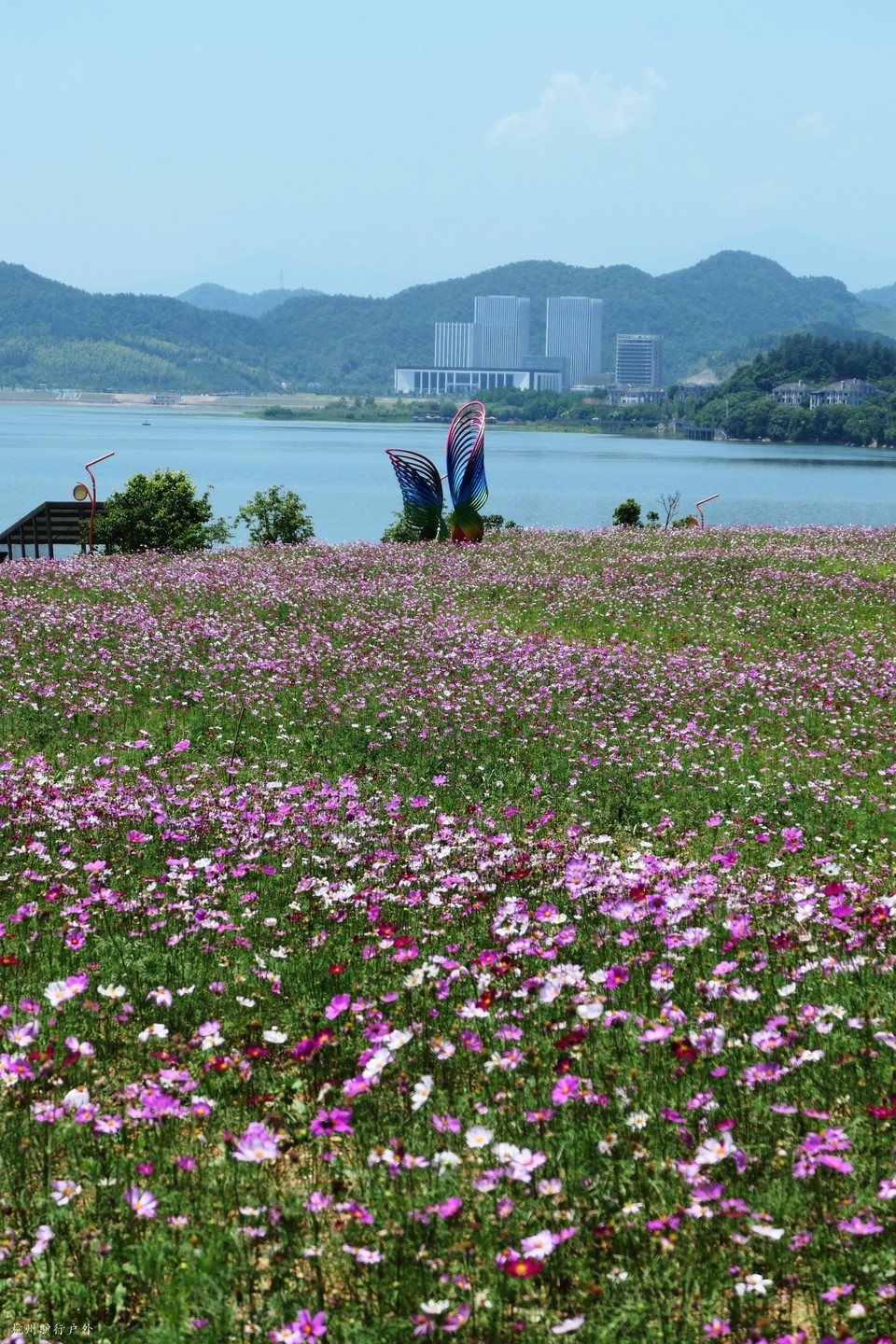 微信图片_202110231558125