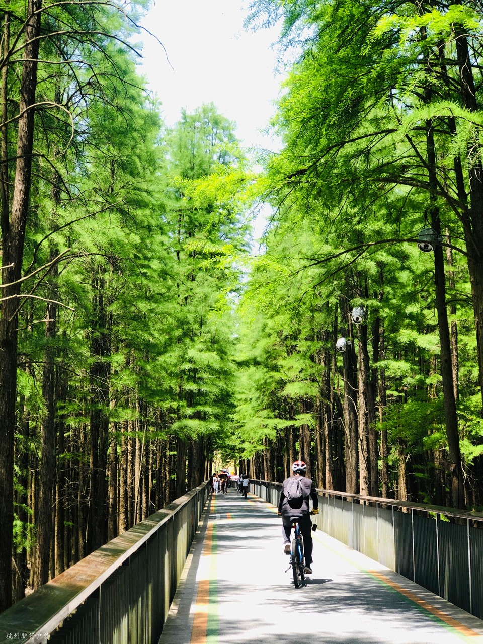 微信图片_202110231558127