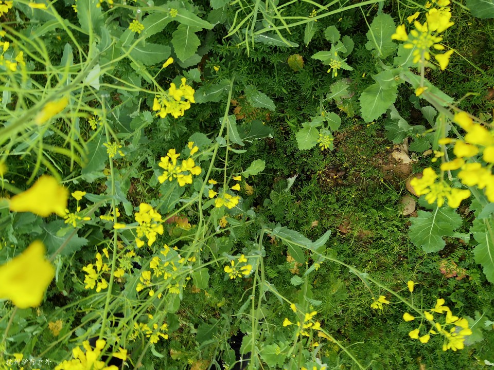 微信图片_202110231544542