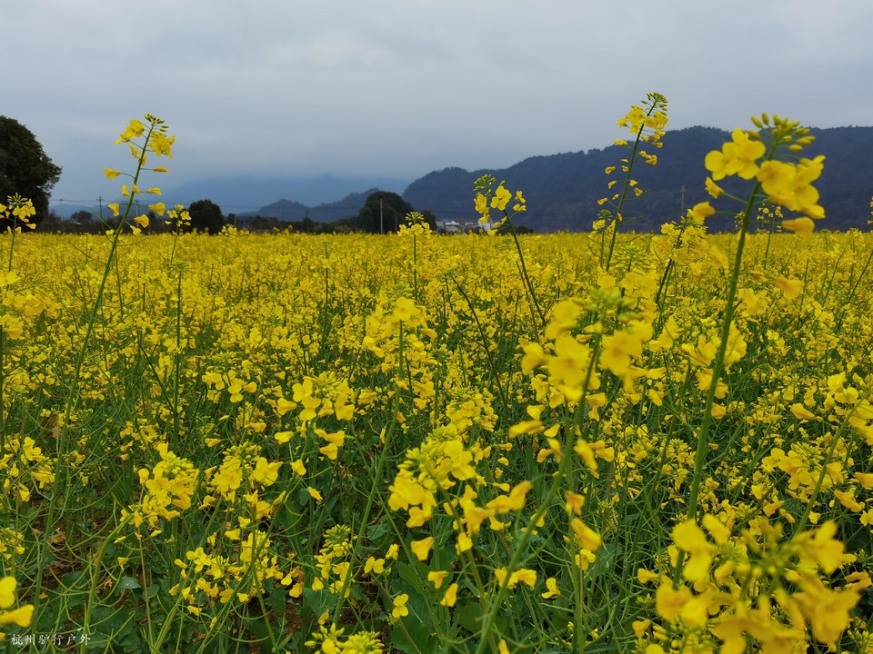 微信图片_202110231544543