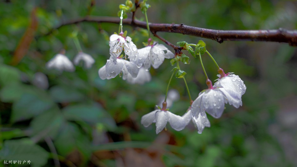 微信图片_202110231544544