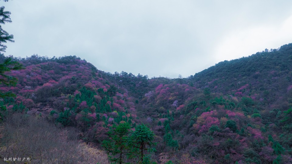 微信图片_202110231544545