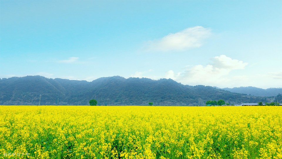 微信图片_202110231544546