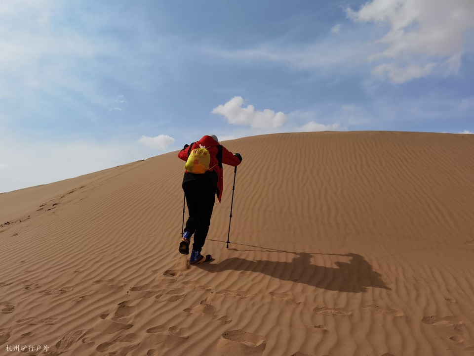 微信图片_202110231555302