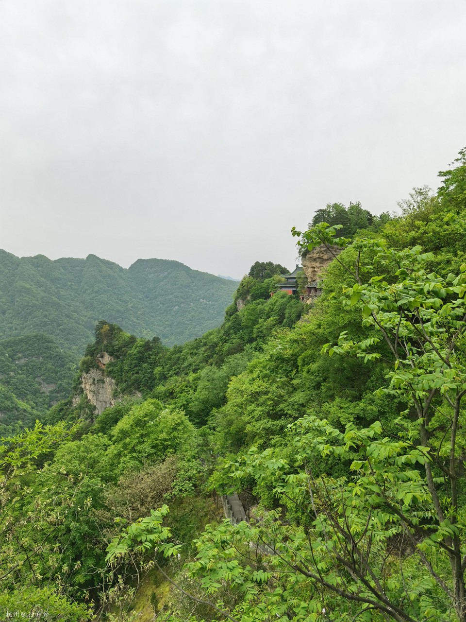 微信图片_202110231610363