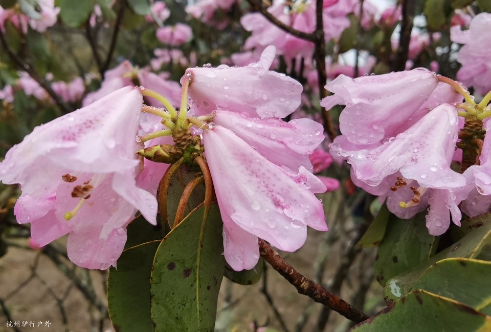 微信图片_20211023155726