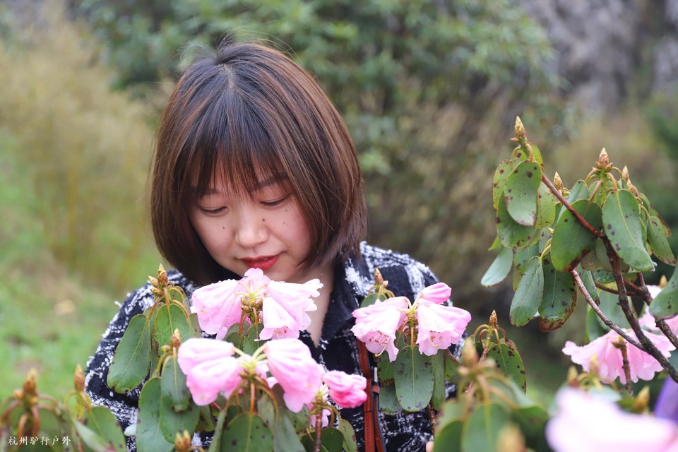 微信图片_202110231557262