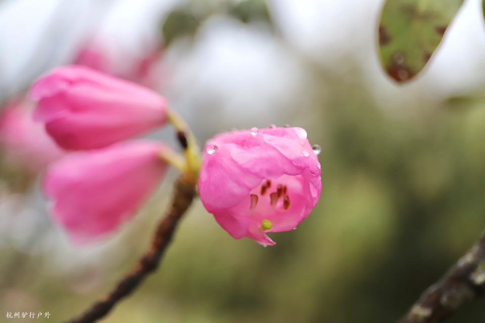 微信图片_202110231557263