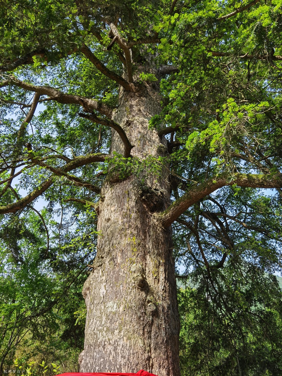 微信图片_202110231557266