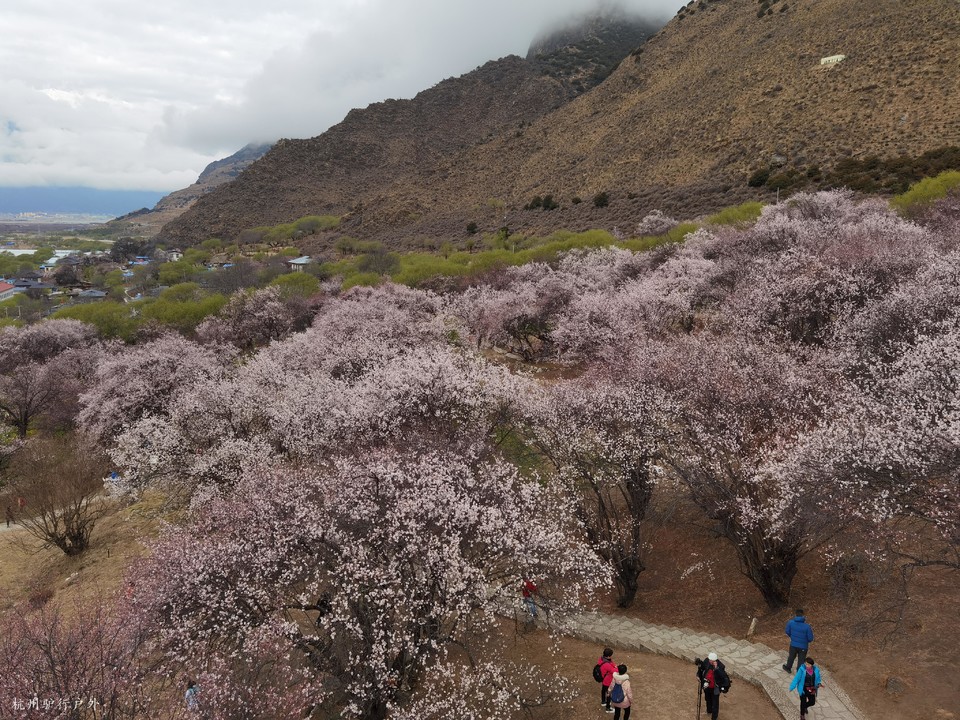 微信图片_202110231545391