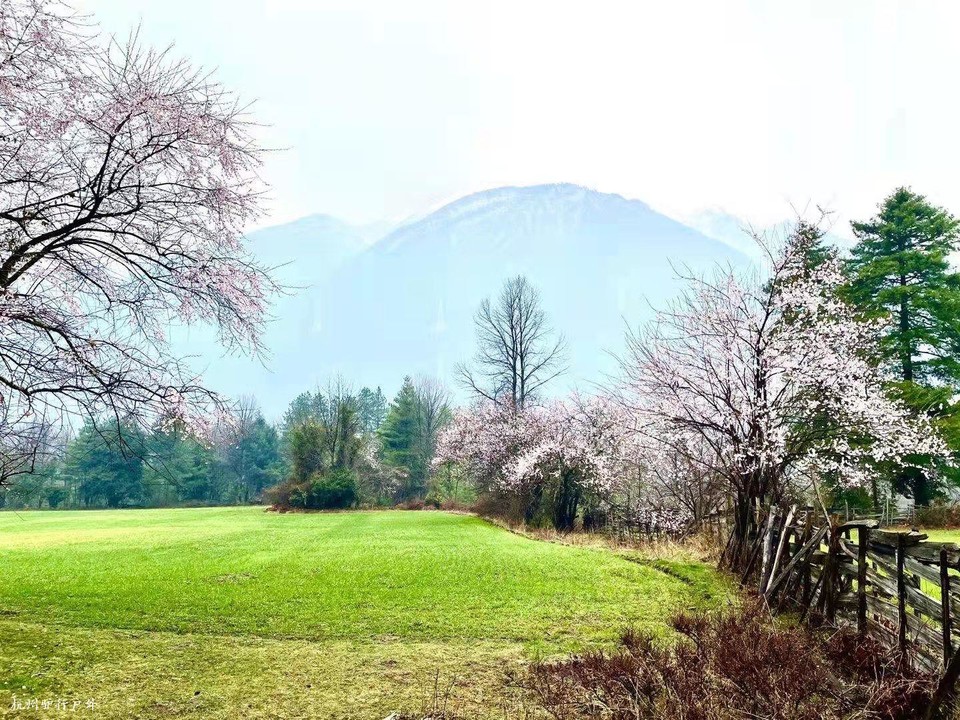 微信图片_202110231545393