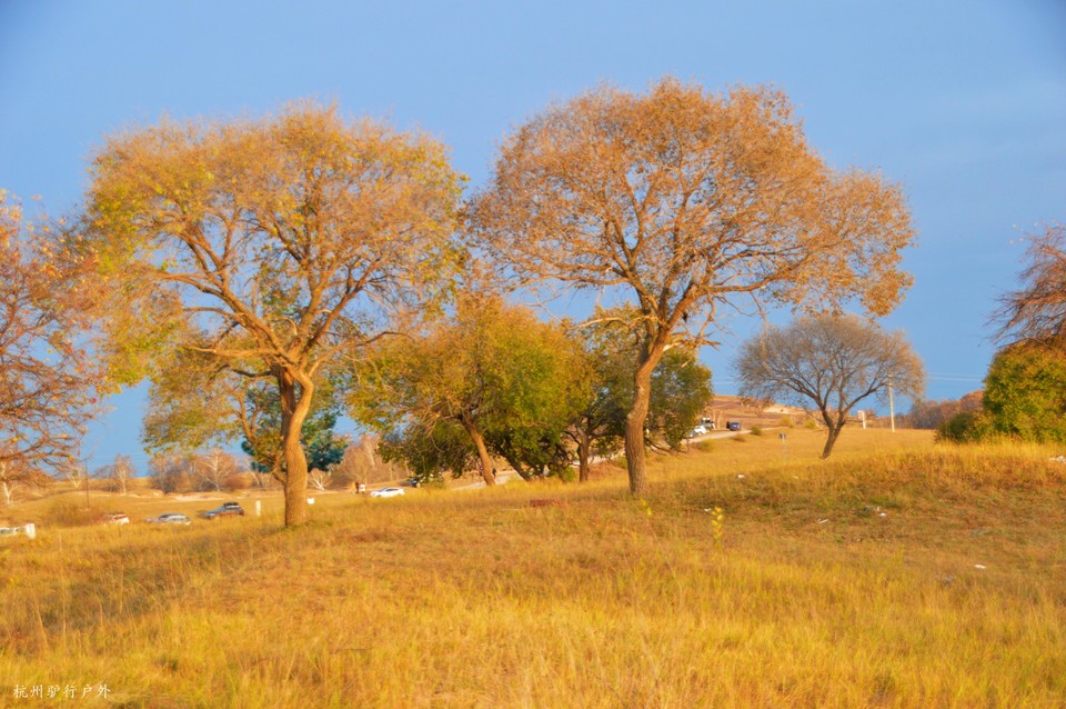 微信图片_202110231533076