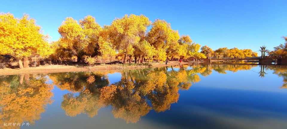 微信图片_20211023153005