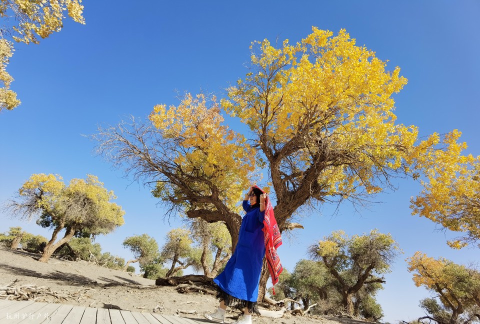 微信图片_202110231530061