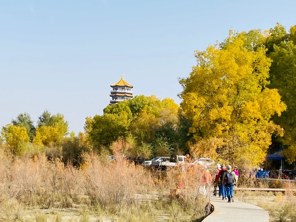 微信图片_202110231530063