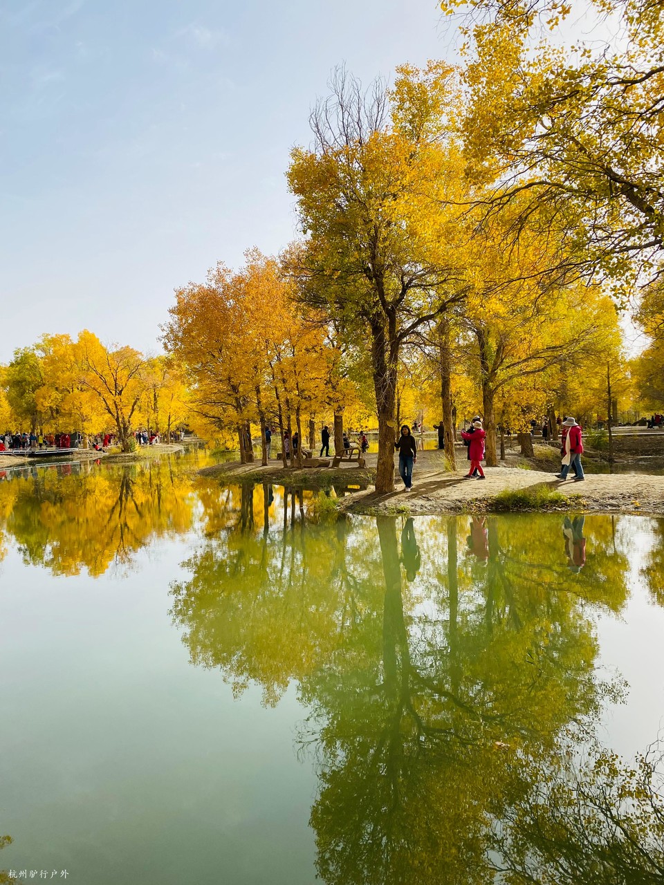 微信图片_202110231530064