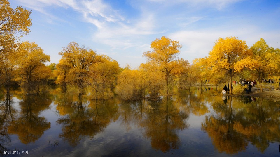 微信图片_202110231530065