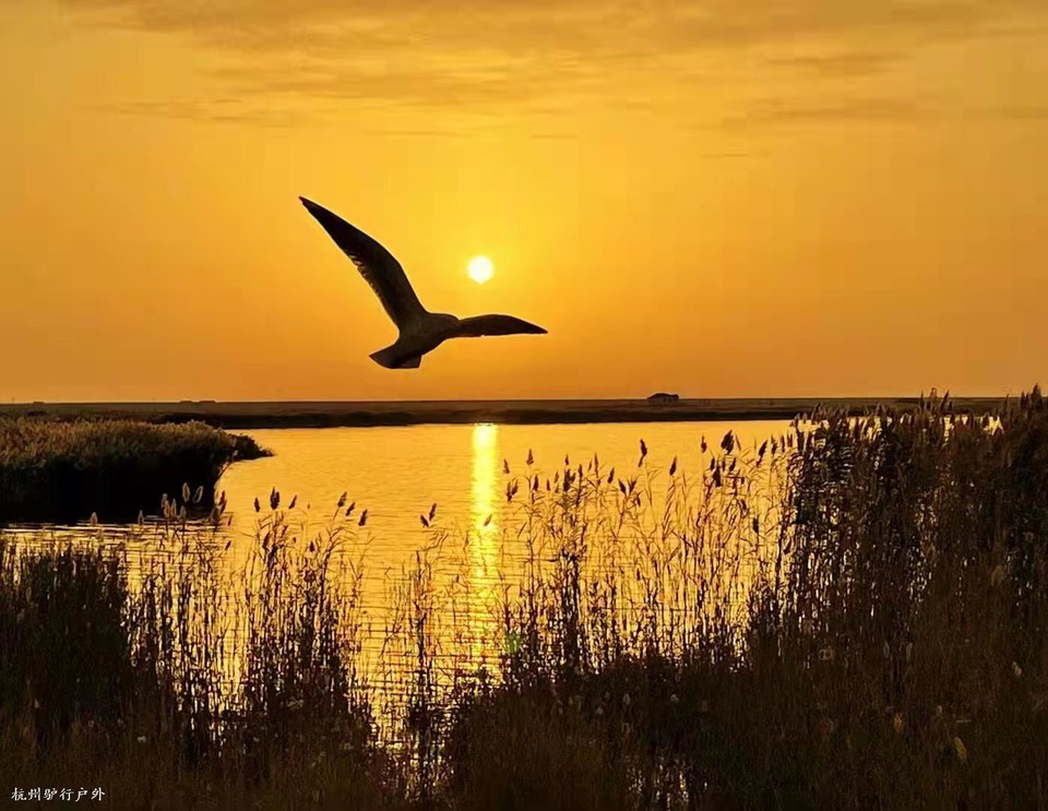 微信图片_202110231530067