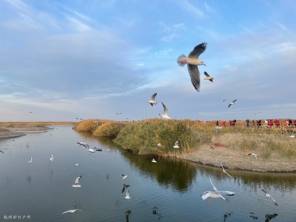 微信图片_202110231530069