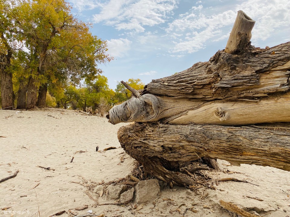 微信图片_2021102315300610