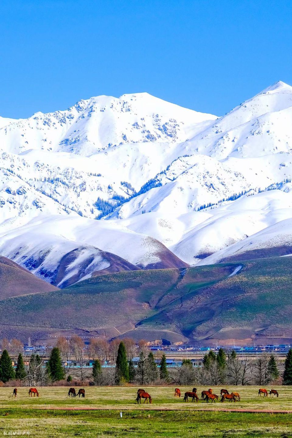 mmexport1758816810642