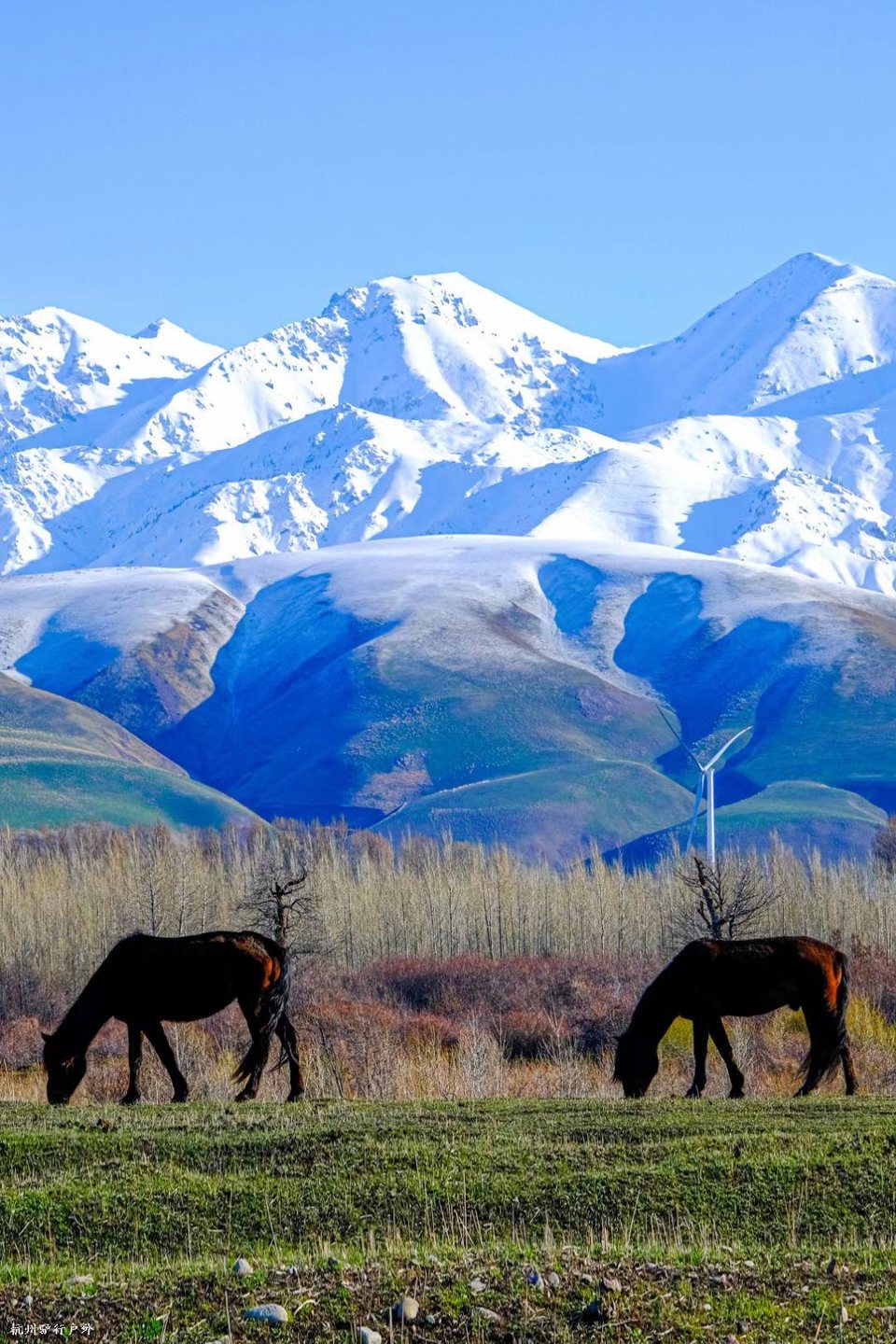 mmexport1758816812706