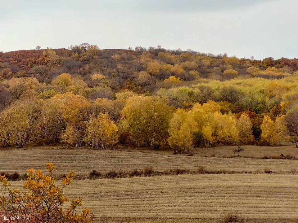 mmexport1758817940746